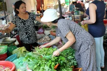 Săn lùng đặc sản rau rừng giá cao ở Sài Gòn