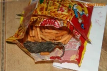 Bim bim “sinh vật lạ”... dọa người dùng