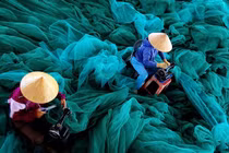 Ngắm 5 tác phẩm VN đoạt giải ảnh quốc tế 2015