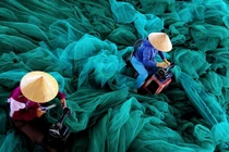 Ngắm 5 tác phẩm VN đoạt giải ảnh quốc tế 2015