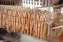 Tận mắt công nghệ làm xúc xích hảo hạng