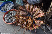 Rùng mình công nghệ chế biến "đặc sản" thịt chuột siêu bẩn