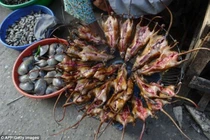 Rùng mình công nghệ chế biến "đặc sản" thịt chuột siêu bẩn