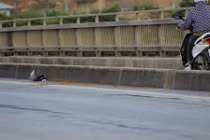 Tai nạn kinh hoàng trên cầu Bãi Cháy, 2 người chết