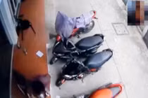 Xe đạp 20 triệu không cánh mà bay trong 2 nốt nhạc