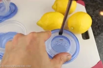 Cách làm bẫy ruồi đơn giản với một quả chanh