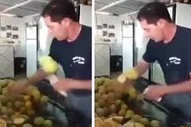 Ngỡ ngàng trước "thánh" chém hoa quả ngoài đời thực