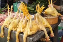 Cách nhận biết thịt gà nhuộm hóa chất vàng da độc hại