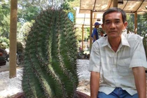 Bộ sưu tập khủng của "vua xương rồng miền Tây"