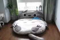 Cơn sốt giường thú bông giá bạc triệu