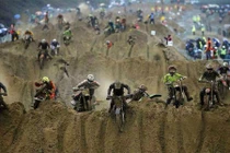 Hình ảnh đẹp nhưng đau tim của những chiếc cào cào