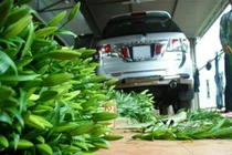 Nông dân Việt tậu xe hơi... chẳng giống ai