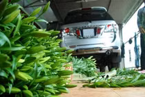 Nông dân Việt tậu xe hơi... chẳng giống ai