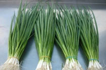 Bí kíp nhận biết hành hoa sạch không phải ai cũng biết