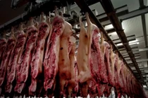 Xem video này một lần, bạn sẽ không bao giờ ăn kẹo dẻo nữa