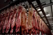 Xem video này một lần, bạn sẽ không bao giờ ăn kẹo dẻo nữa