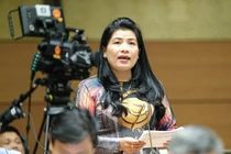 Dân không thể mua bán đất từ khi điện hạt nhân Ninh Thuận tạm dừng