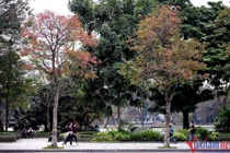 Dự báo thời tiết ngày 19/5: Miền Bắc trời dễ chịu, miền Trung mưa giông