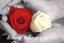 Hiểu sao cho đúng về “Bông hồng cài áo“ ngày lễ Vu Lan? 