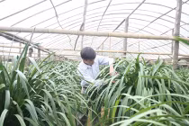 Trở thành vua phong lan vì... đi lạc