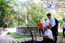 Khám phá 3 cây lạ thần kỳ ở khu di tích Lam Kinh