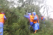 Cây đổ đè xe, nhà tốc mái trước giờ bão tấn công