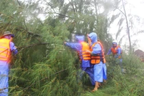 Cây đổ đè xe, nhà tốc mái trước giờ bão tấn công