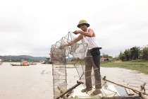 Về Bắc Giang săn đặc sản cua da 