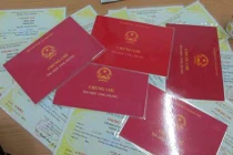 Vì sao bằng giả chỉ lọt được vào cơ quan nhà nước?