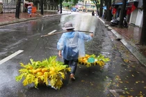 Từ tháng 3, miền Bắc chuyển lạnh, mưa phùn thường xuyên