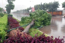 Siêu bão Haiyan tấn công miền Trung, đe dọa miền Bắc