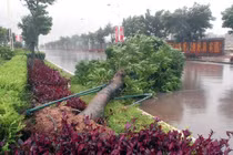 Siêu bão Haiyan tấn công miền Trung, đe dọa miền Bắc