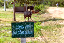 Cận cảnh công viên nửa tỷ USD bỏ hoang bị BT Thăng "chỉ mặt"