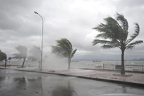 Bão số 15 sẽ xuất hiện trong 24 giờ tới