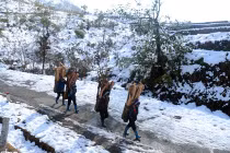 Giáng sinh không mưa, có thể có tuyết