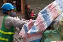 Sau Tết, bánh chưng, thịt gà nguyên con vứt đầy thùng rác