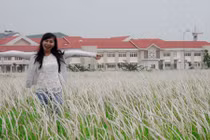 Cánh đồng cỏ lau thơ mộng trên đảo kim cương Sài Gòn