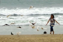 Hình ảnh đối lập bão số 10: chống bão... vui sóng dữ