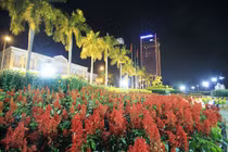 Ông Thanh qua đời, hủy lễ khai mạc đường hoa tại Đà Nẵng