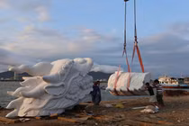 Cảnh lắp ghép “cá chép hóa rồng” cực độc ở Đà Nẵng