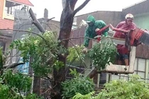 Tới 16h, bão Wutip hút chết 3 người, gây thiệt hại nặng