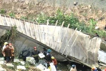 Hôi nhãn ở Quảng Bình: La làng để... đòi bảo hiểm?