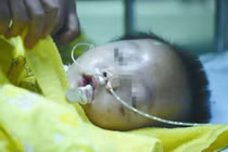 Sự thật sốc về dì ghẻ phù thủy… dậy sóng dư luận VN