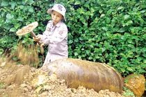 Một ngày đi “săn thần chết” của những bóng hồng ở Quảng Trị