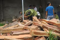 Phát hiện hơn 7m3 gỗ hương lậu trong nhà dân