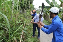 Rùng mình loạt côn trùng, sinh vật lạ “tấn công” dân Việt