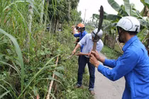 Rùng mình loạt côn trùng, sinh vật lạ “tấn công” dân Việt