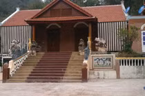 Soi trang trại bí thư huyện có 12 con dê “lạc” vào