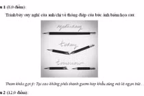 Đề thi văn lạ ở Vũng Tàu: “Có lạ nhưng không đánh đố“