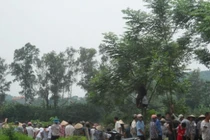 Mất mạng sau karaoke với tiếp viên không nội y